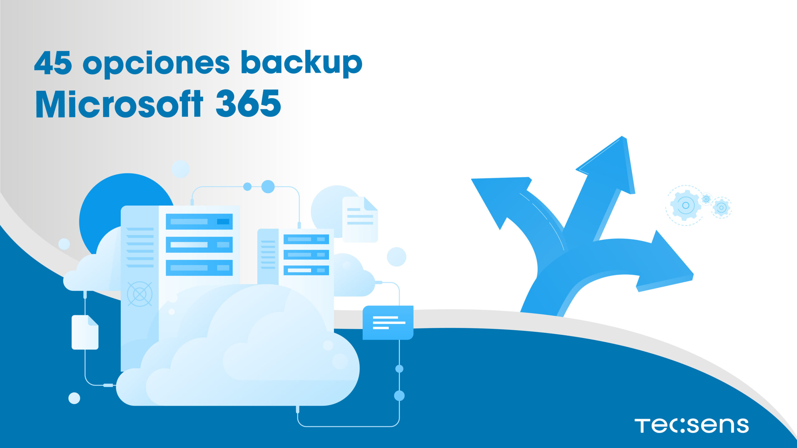 45 Microsoft 365 Backup Options - Tecsens