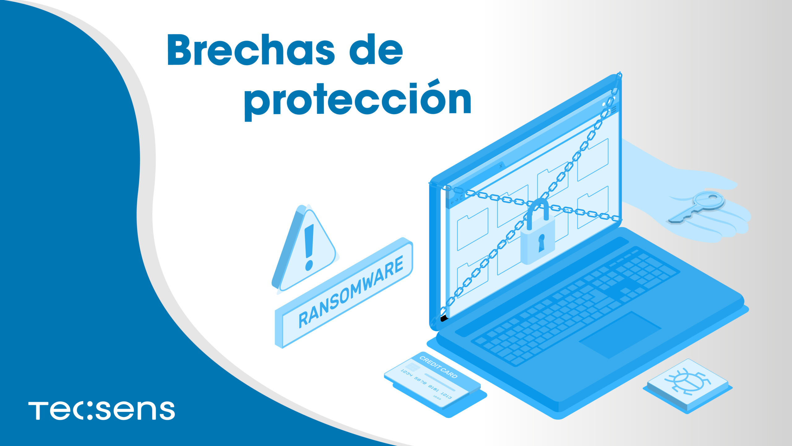 Brechas De Protecci N Tecsens Seguridad Ti