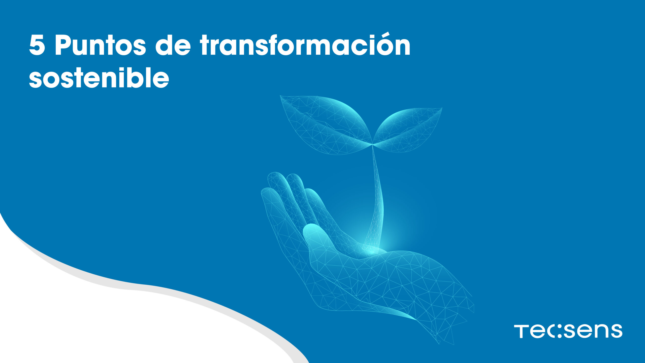 5 Puntos De Transformación Sostenible Tecsens Consulting